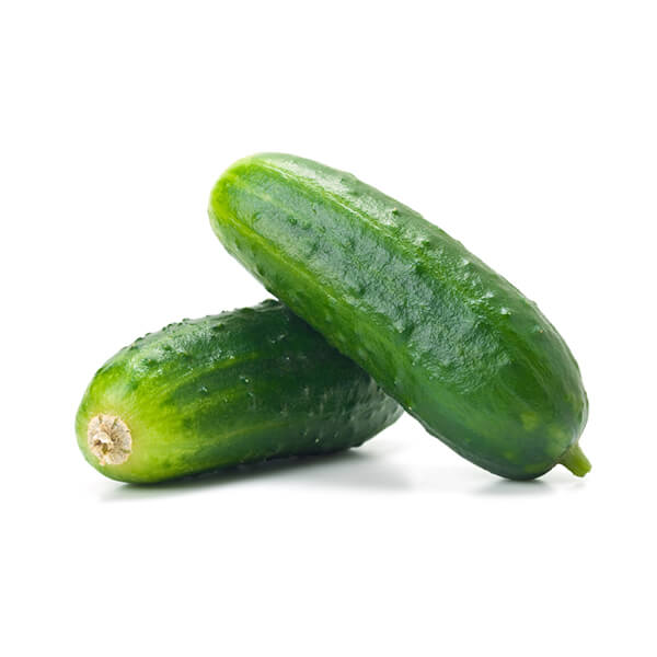 Cucumber